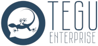 tegu_enterprise_logo.png